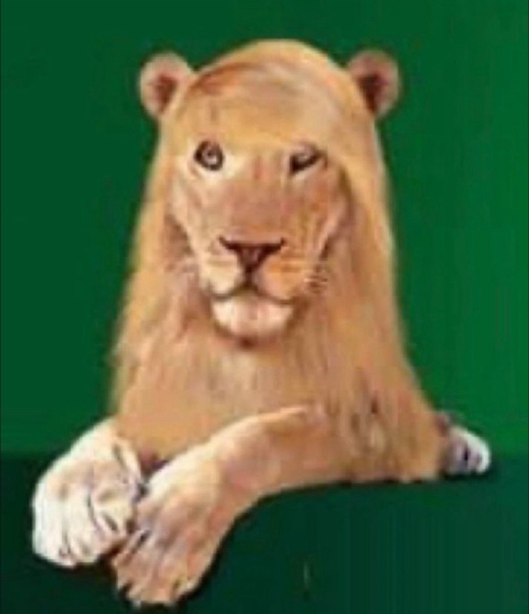 janavivalamota's tweet photo. asi se siente plancharse el pelo https://t.co/QrULprxomx
