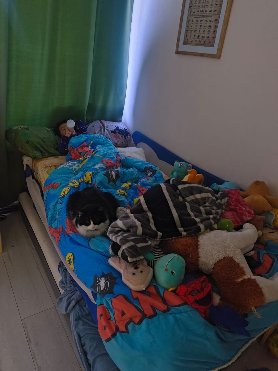 margarampl's tweet photo. @Tiofelino Yo tengo la suerte que mis seres más cercanos y queridos aman los gatos y perros, los demás si no bienes es que no me respetan o quieren. Se lo pierden. El nieto, sus peluches y la coleada, todos calentitos que hace frío https://t.co/q1wYoUJ476