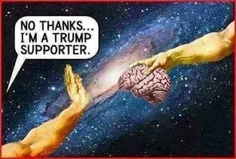 OldestN's tweet photo. @freespeech1972 @fribster @shokk @another_jondoe @mmpadellan https://t.co/HEbTKnNmmn
