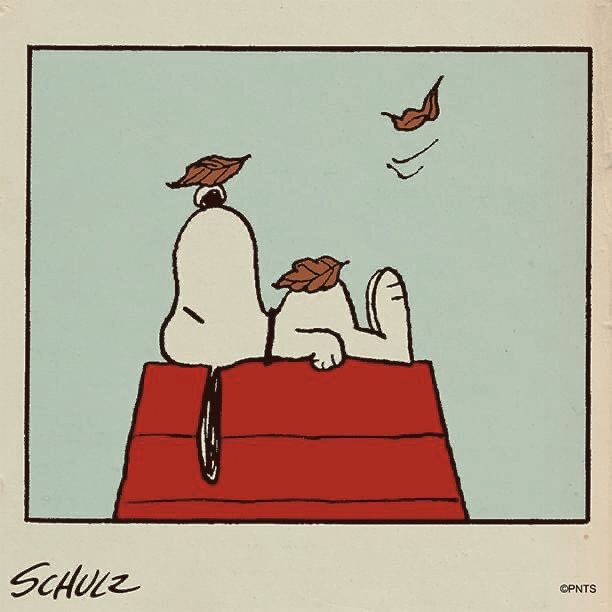DailySnoopys's tweet photo. https://t.co/qdqz2YOjfk
