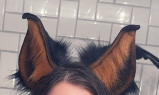 _m0rbidpup_'s tweet photo. I can finally hear.. https://t.co/TUqGAFZPhX
