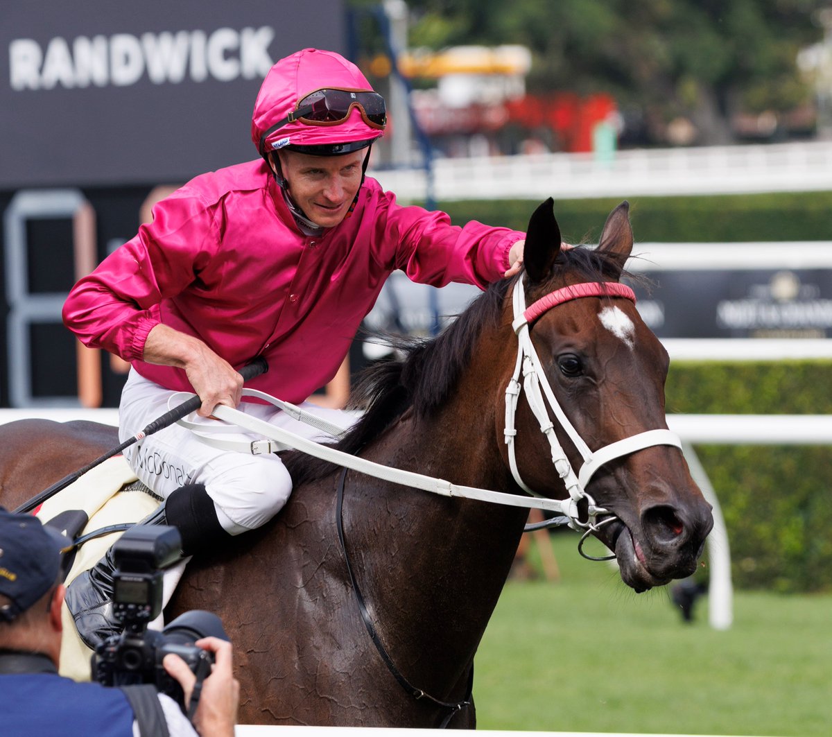 AndrewNJHawkins's tweet photo. The remarkable Fangirl has been officially retired, as was widely expected after last Saturday's third in the G2 Chelmsford Stakes.

She retires as the winner of 12 races, including four Group 1 races, and more than AUD$11 million in prizemoney. https://t.co/JQHNtvjklN