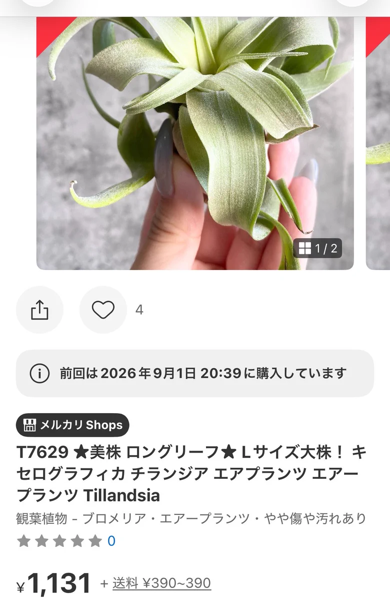 ノモ on X: 