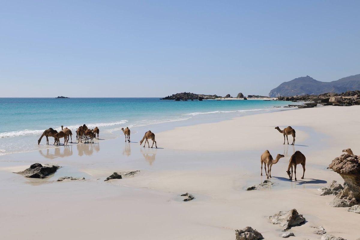 aseelswaid9's tweet photo. Oman https://t.co/83gD2wsqOb