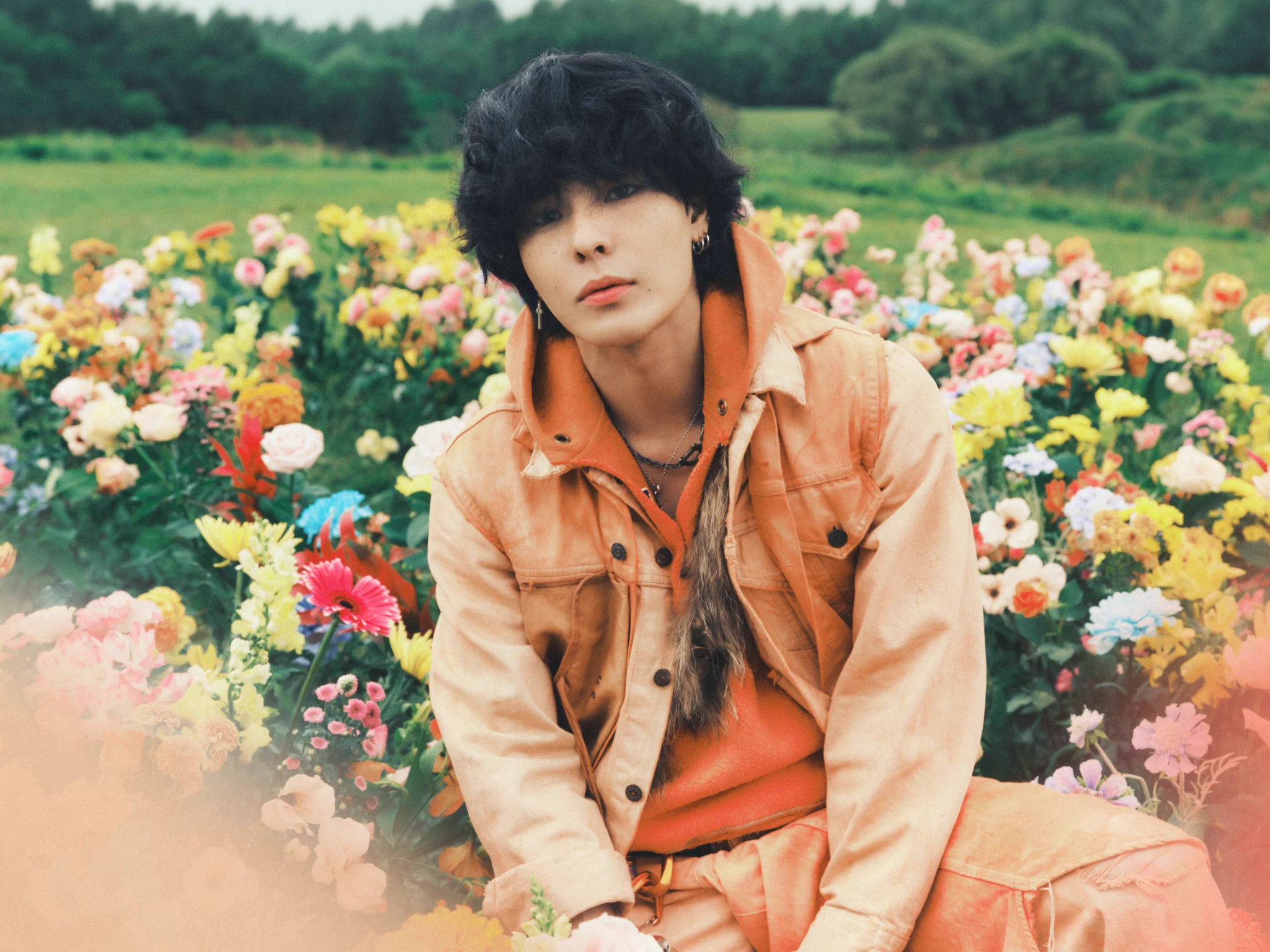 WOLF HOWL HARMONY【公式】 on X: 