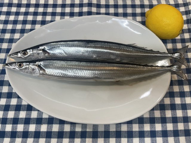 MT_rushi's tweet photo. おはようございます♪
一昨日6日は三男犬🌱
今日8日は次男犬☘️明日9日は長男犬🍀
月命日なので、ピンクの百合と🍮を
お供え…
あ、昨夜は初物の秋刀魚を食べました😋
皆様、今日も雨ですが
足元にお気をつけて…
良い1日をお過ごしくださいね😉
#愛犬 #月命日 #秋刀魚 https://t.co/XCCM0XAHTn