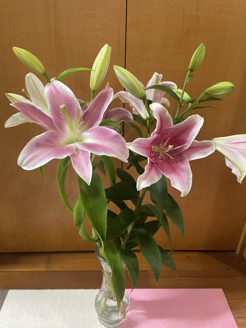 MT_rushi's tweet photo. おはようございます♪
一昨日6日は三男犬🌱
今日8日は次男犬☘️明日9日は長男犬🍀
月命日なので、ピンクの百合と🍮を
お供え…
あ、昨夜は初物の秋刀魚を食べました😋
皆様、今日も雨ですが
足元にお気をつけて…
良い1日をお過ごしくださいね😉
#愛犬 #月命日 #秋刀魚 https://t.co/XCCM0XAHTn