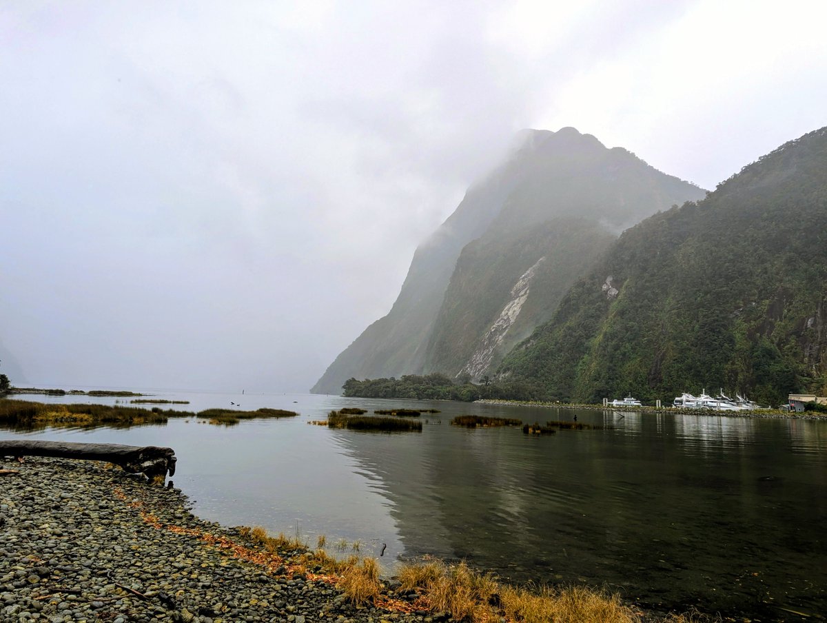 williampueyo's tweet photo. Milfound sound 
#newzeland #voyage #travel #nature https://t.co/EbKmVcQrZs