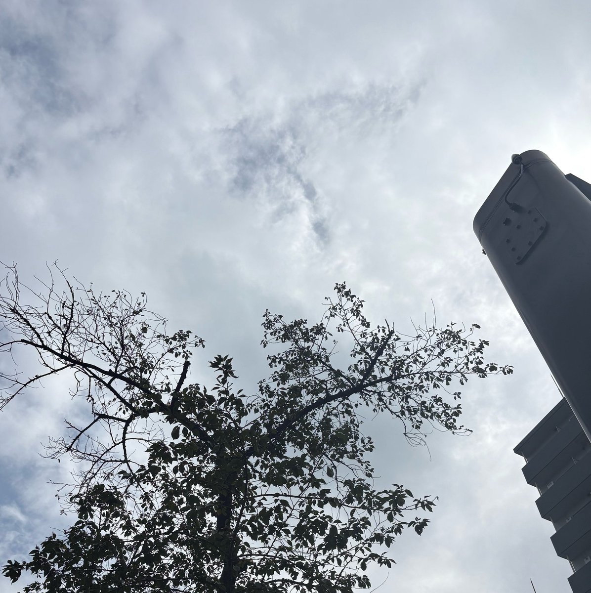 pita_masui's tweet photo. お昼になり、曇天から晴れ間も見え隠れ。

東京日本橋。
すっきりしない天候が続きますが、元気出していきましょう😀
皆様も良い一日をお過ごしください。

#企業公式が毎朝地元の天気を言い合う
#福祉用具 https://t.co/pjGAdu0pAj