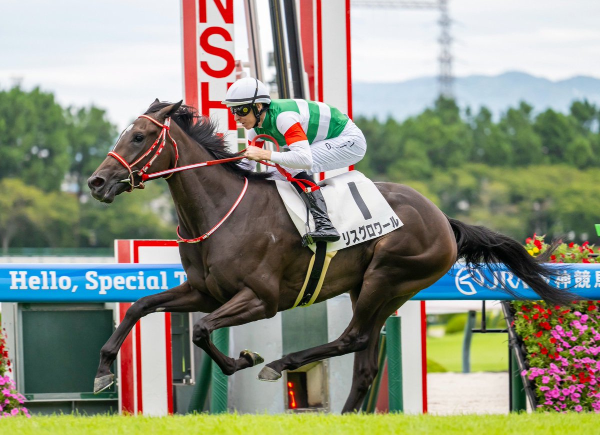 yahagistable's tweet photo. 先週の結果🏇🇯🇵

▼9/5（土）
<阪神>
3R レッドフレーザー 1着🥇
4R ウイングサンライズ 4着
12R モズプリフォール 10着

<札幌>
7R ベネディクション 7着
7R ジェルブロア 1着🥇
9R フリーガー 7着

▼9/6（日）
<阪神>
3R アスクハッピーマン 4着
5R リスグロワール 1着🥇
8R ツーネサーン 4着

<札幌>
2R ソフィーサンライズ 10着
5R ラッキーシグネチャ 5着
9R スターオブロンドン 9着
10R サンセットゴールド 3着🥉