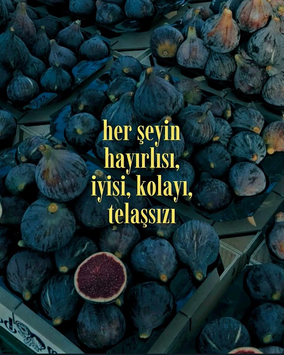 sevgilikendin's tweet photo. 8 Eylül https://t.co/fefrl7lcO1