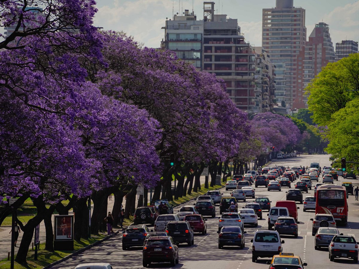 kookherondale's tweet photo. no están listos para primavera arirang https://t.co/92EsAaNMKN