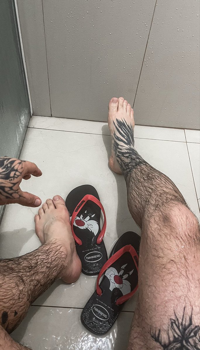 gvsleo's tweet photo. Eu acho que vi um gatinho (ou dois) https://t.co/a0ZV5UCpJU