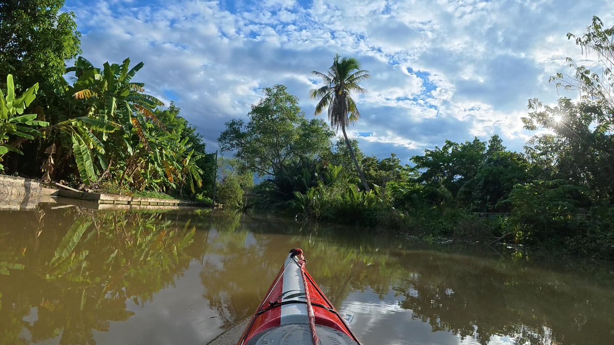misterkwai's tweet photo. #portage I then got back in my kayak, but it got stuck in nipa palm branches, so I had to exit the kayak again and wade waist deep in water. :/ https://t.co/okHjymkgrG