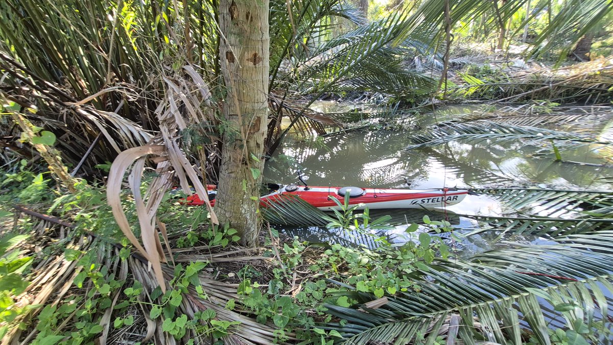 misterkwai's tweet photo. #portage I then got back in my kayak, but it got stuck in nipa palm branches, so I had to exit the kayak again and wade waist deep in water. :/ https://t.co/okHjymkgrG
