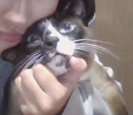 Slipkhelo___'s tweet photo. Eu e minha gata❤️ https://t.co/ED0XGKnmvb
