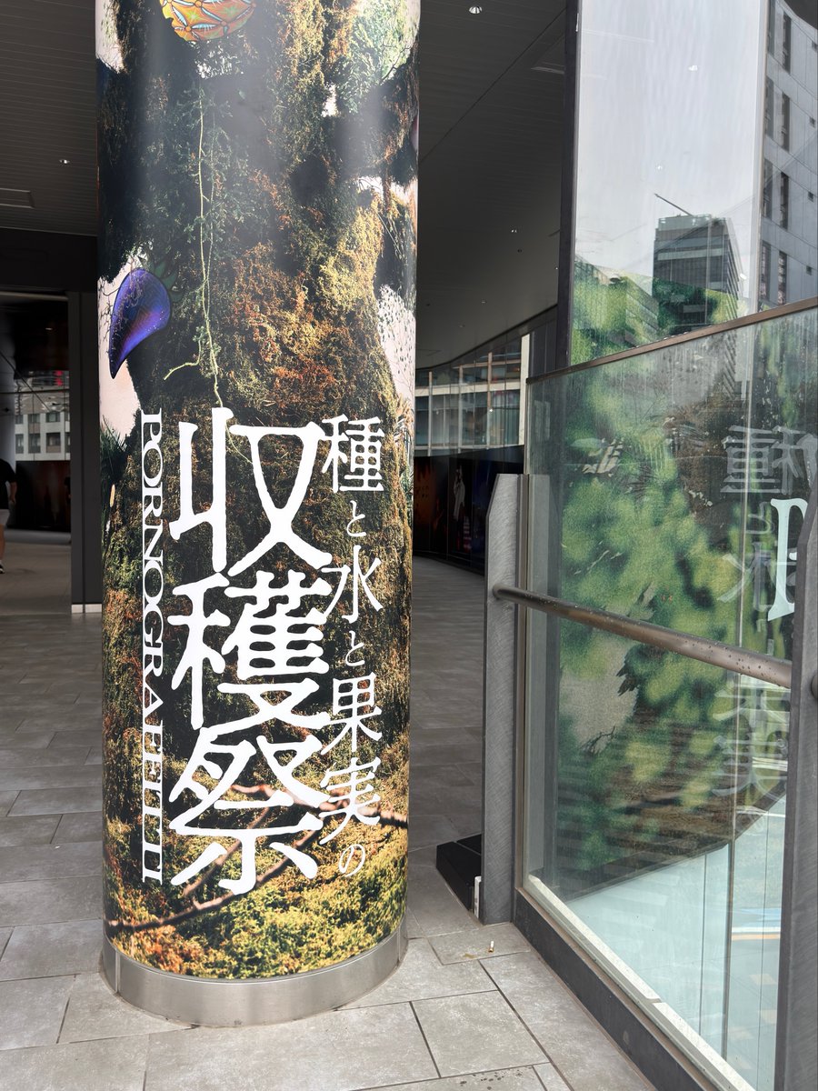 pg_kazitsu's tweet photo. “水”Galleryではガラス面に“水”ツアーのライヴ写真を展示！
思い出に浸りながらぜひご覧ください！

#種水果実
#収穫祭 https://t.co/vZEKptQuaR