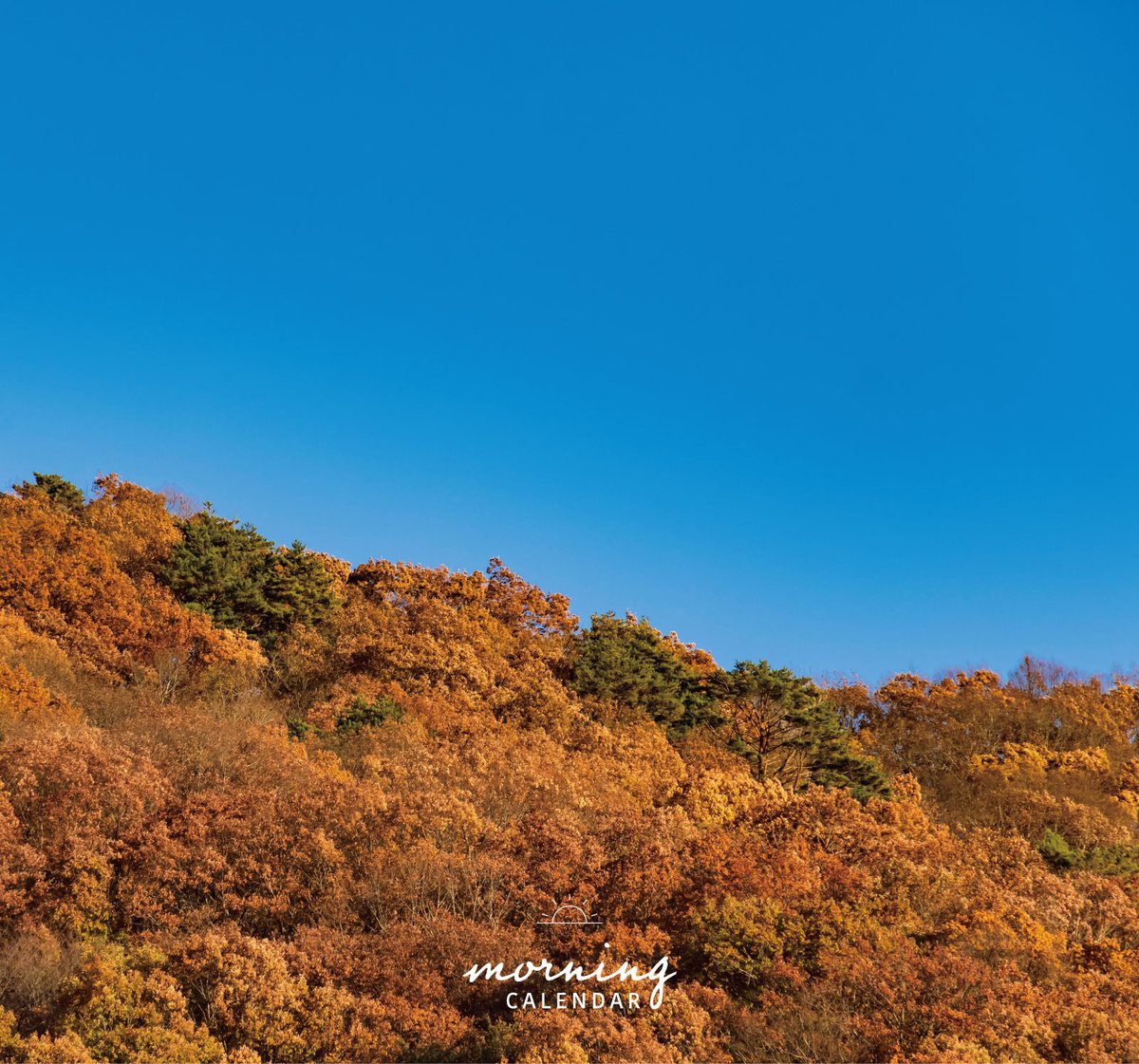 543life's tweet photo. 秋澄む（あきすむ）｜朝の日めくり

"大気が澄み、山河や草木の輪郭が明瞭になり、遠くの景もはっきり見えるようになってきます。"

▼暦生活｜日本の季節を楽しむ暮らし｜365日、毎日暦のお話をお届けします♪
https://t.co/hv9NlcQxdm https://t.co/jeNlyivqCI