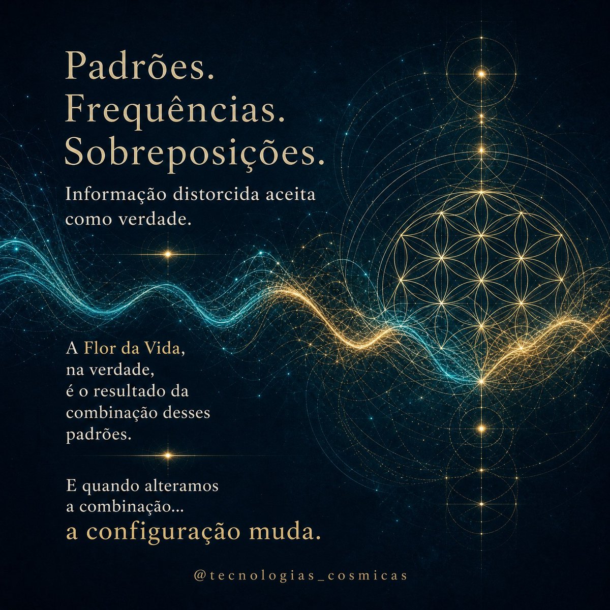 Vandomonc's tweet photo. #4 Tecnologias Cósmicas 
#GeometriaSagrada #FlordaVida #Toroide #Shakras 
@cosmoscentroead @AltoConselho https://t.co/ssHIIemn1L