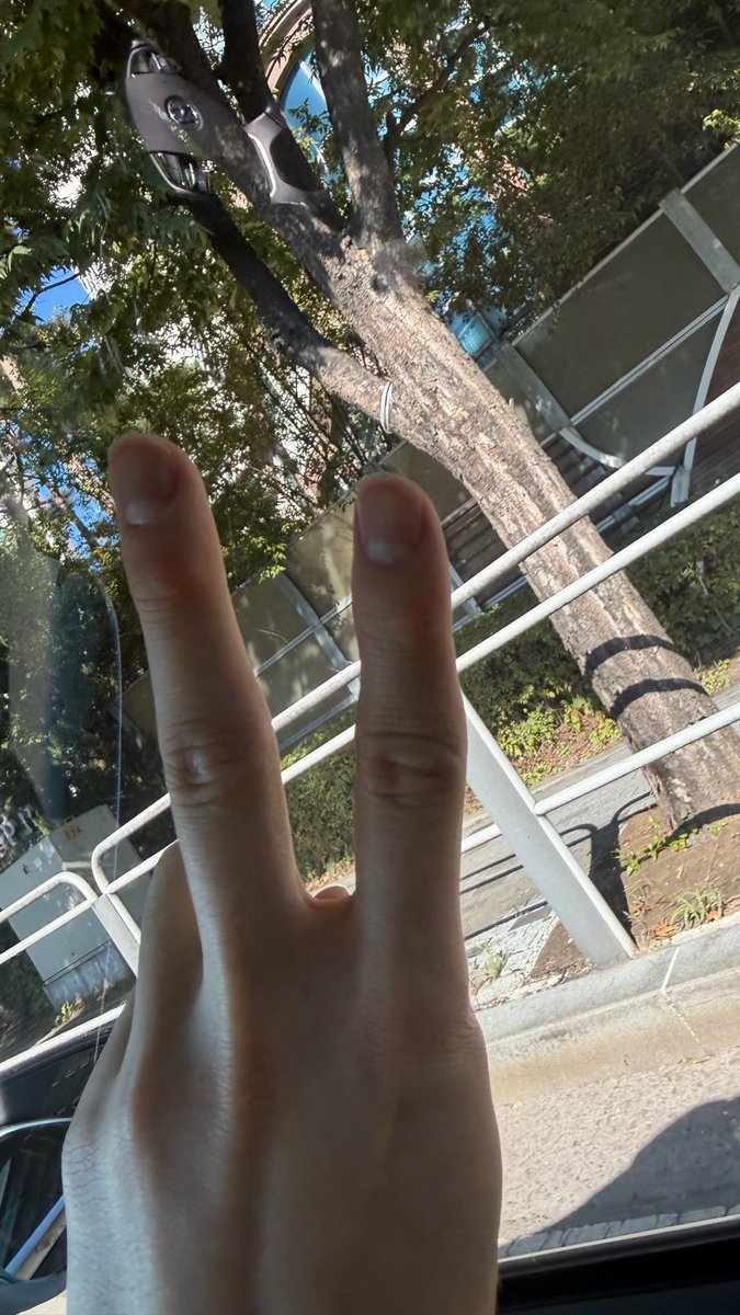 kiiwwk's tweet photo. https://t.co/38M8BnCB00