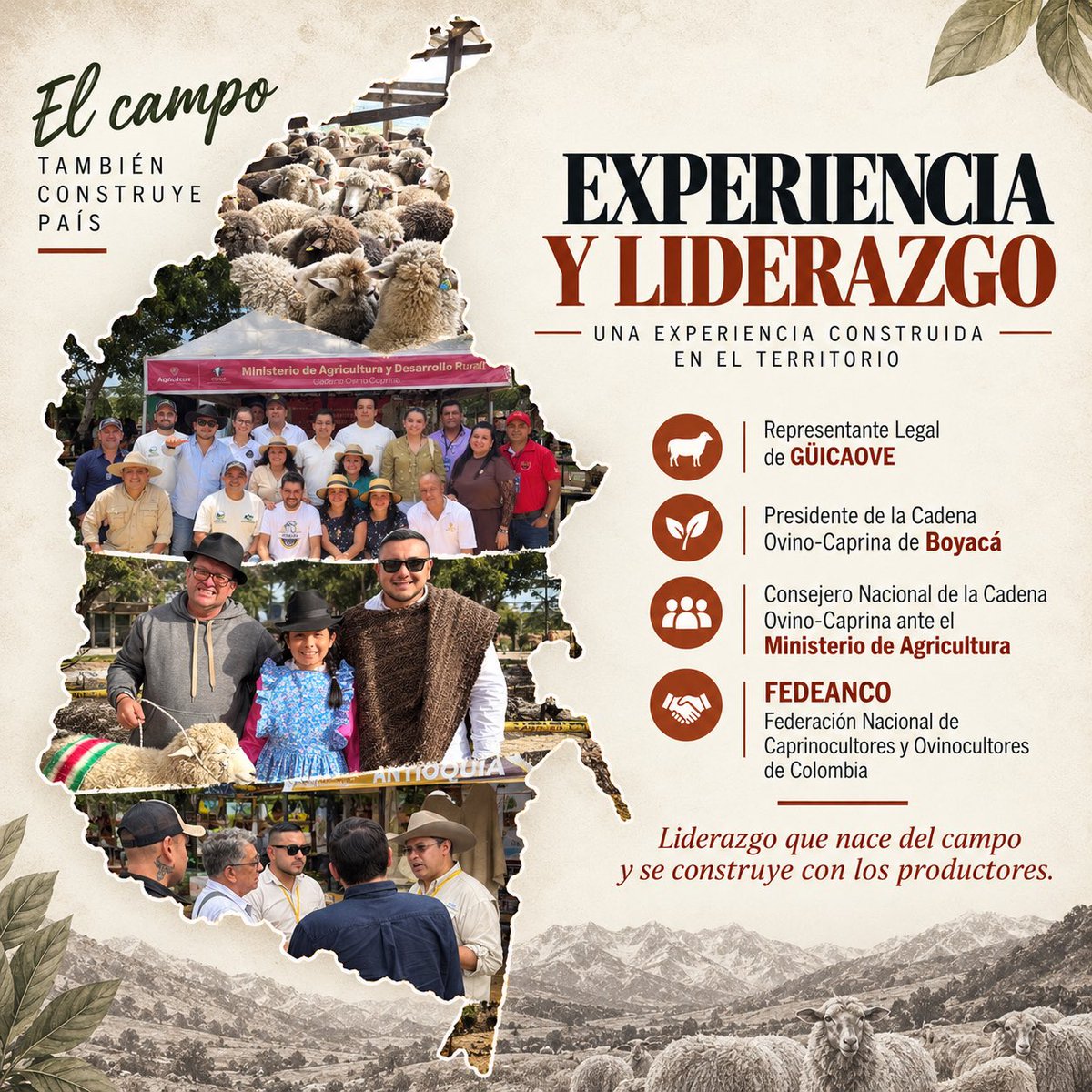 Fernandolopsa's tweet photo. 🐑🇨🇴 En Colombia pasamos de 1,69 millones de ovinos en 2025 a 1,36 millones en 2026, una reducción cercana al 19,6 %.

Esta cifra nos llama a fortalecer el registro y conocer mejor la realidad del sector.

Desde el territorio tenemos experiencia, conocimiento 🐑👊🏽 https://t.co/yLuzDbz5q5