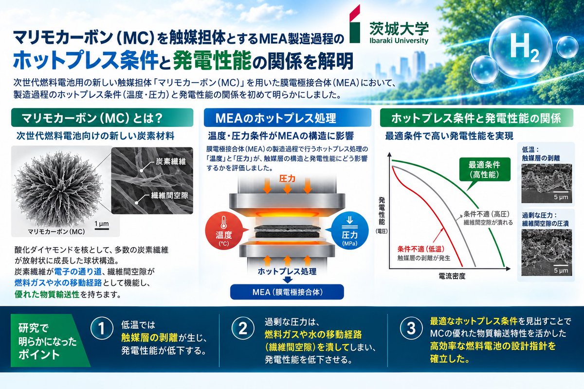 FuelCellWeekly's tweet photo. 【茨城大学｜燃料電池研究】
「マリモカーボン」の性能を引き出すホットプレス条件とは？
MEA製造時の温度・圧力と発電性能の関係を解明。低温での触媒層剥離や、過剰な圧力によるガス・水の輸送阻害を明らかにしました。
https://t.co/gGln8YU7Dy
＃水素 #燃料電池 #PEMFC https://t.co/iQzWyeT35D