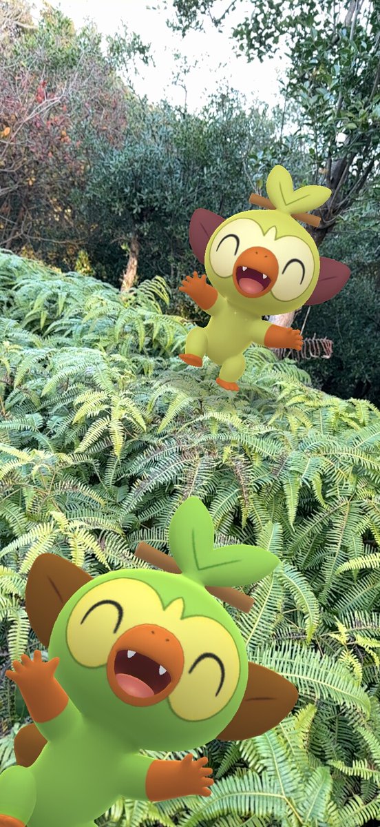 awamegupokeco8's tweet photo. 撮影日:2026年01月18日(日)16:11 #PoKéMoNGOAR #サルノリ #Grookey #バチンキー #Thwackey #ゴリランダー #Rillaboom https://t.co/AxdsOfz8Ui