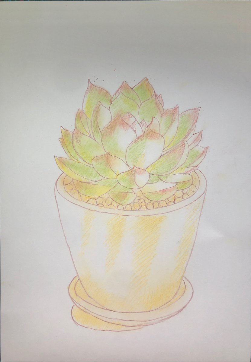 Nysaa22's tweet photo. Pro tip for new plant parents: Water your succulents only when their leaves feel wrinkly — overwatering is the #1 killer of these low-maintenance beauties! https://t.co/mYgI2v9YcG