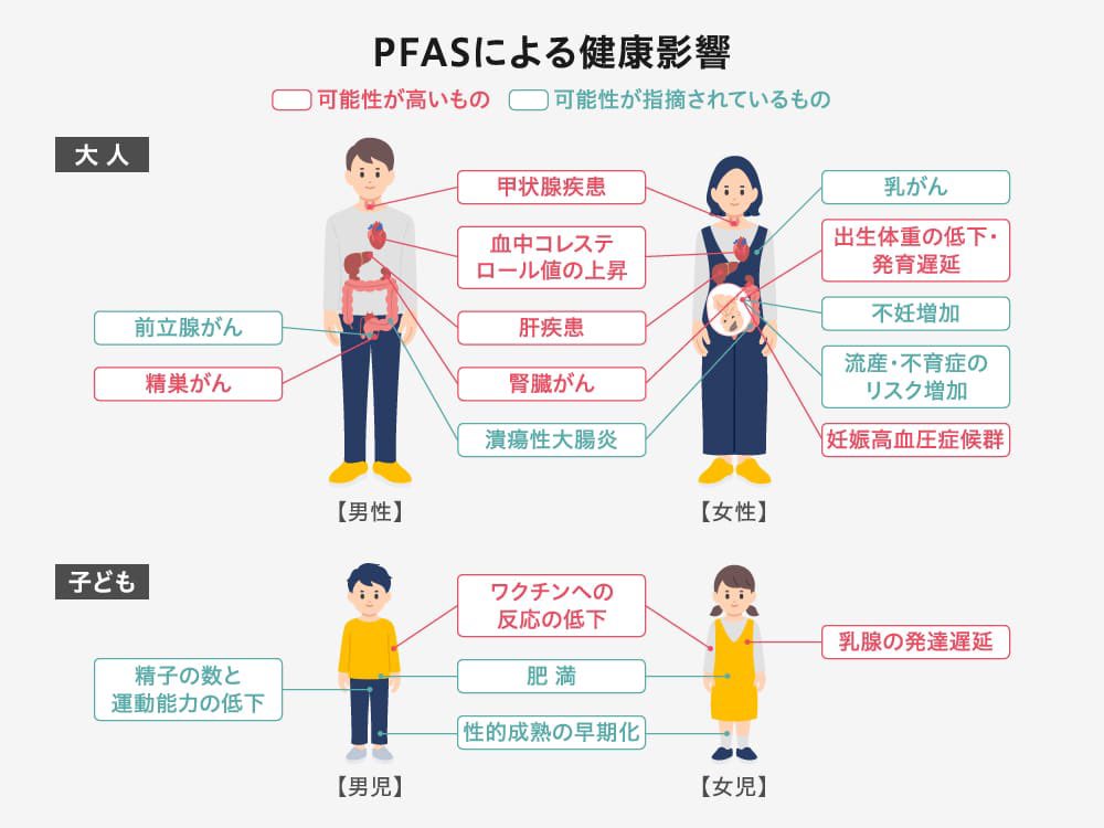 ashitawawatashi's tweet photo. ひえーーー！😱

また政府自民党は隠してたんだ😱😱😱

PFASは人体にこれだけの深刻な害をもたらすのに！！

自民党こそが、日本人の敵だよ！！
#自民党を解体せよ https://t.co/syUGSfioKA