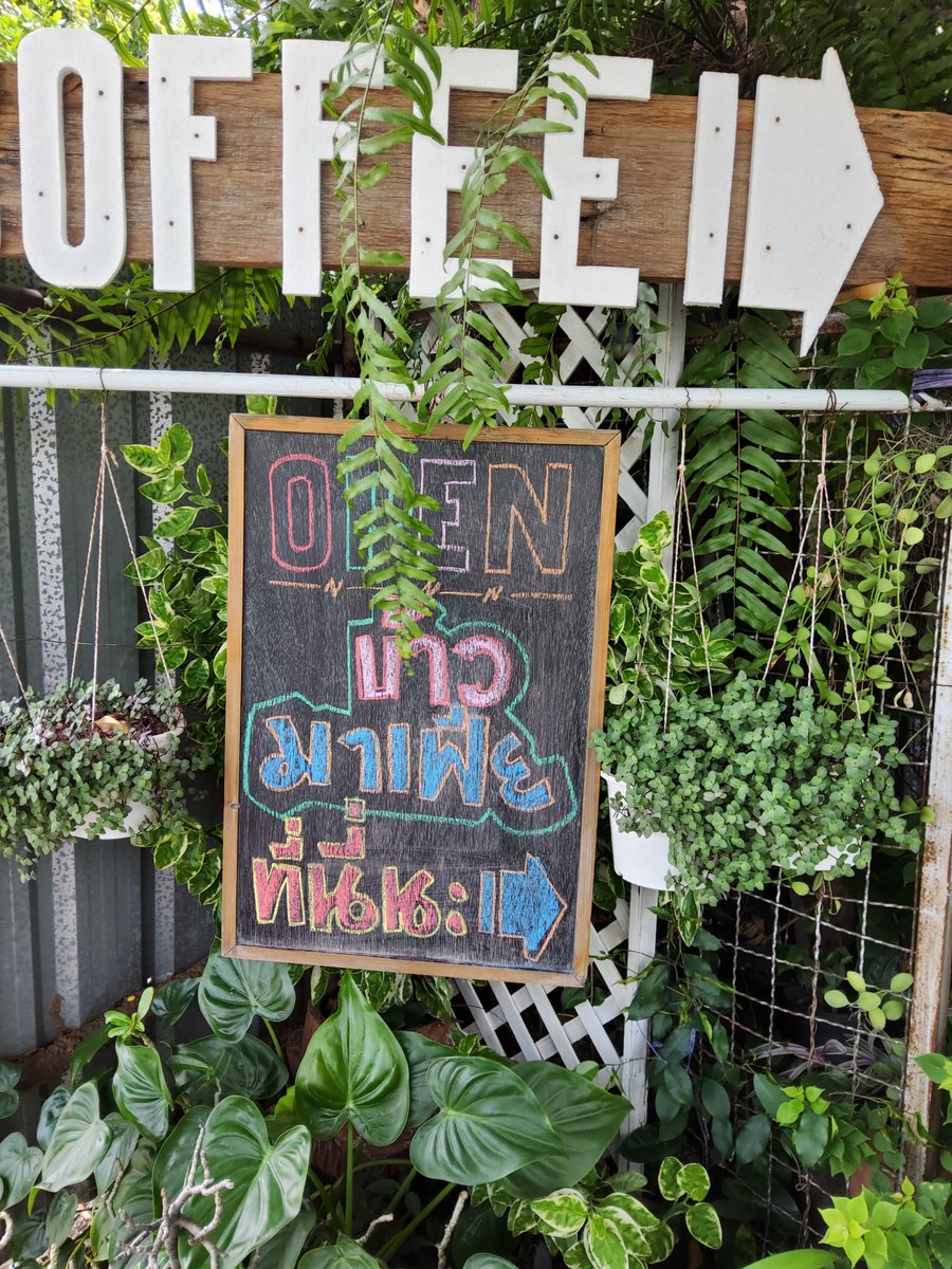 SysAop's tweet photo. ร้านอาหารราคาหลับสิบอิ่มอร่อยอยู่ได้2มื้อยังมีอยู่จริง ร้านลับโคราชอยู่ถนนหลังเรือนจำ https://t.co/QHvo2WOabM
