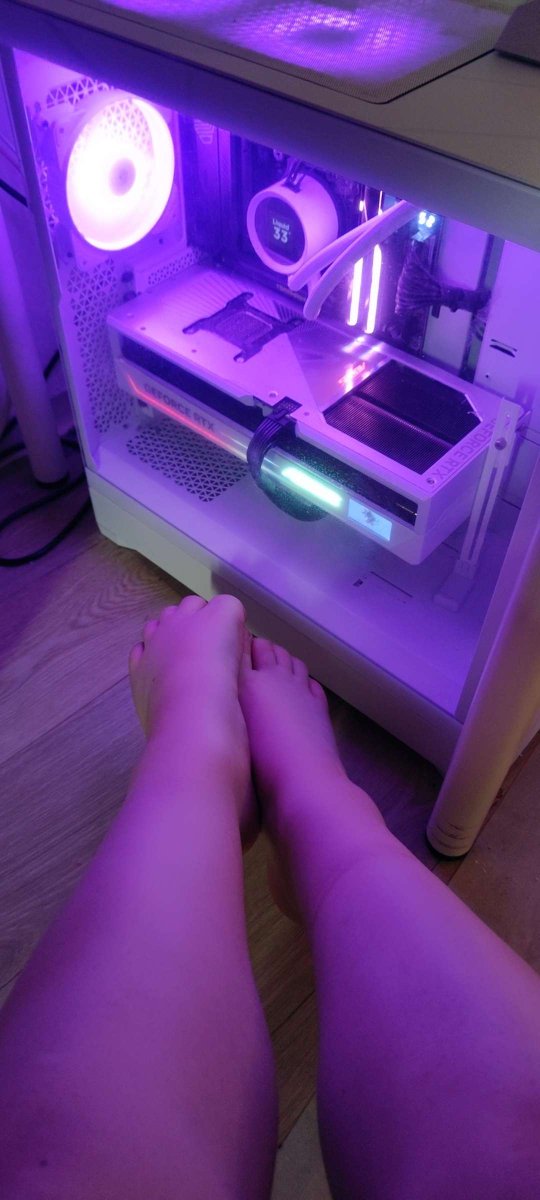 QueenNyanNyan's tweet photo. Aww you wish you'd be under my desk rn https://t.co/LnNyjWjKSv