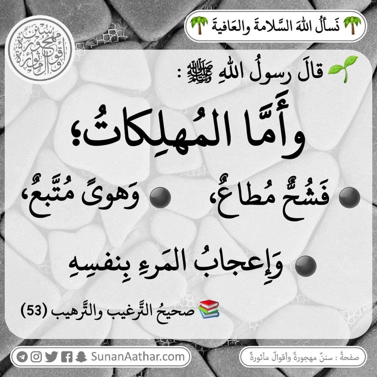 Sunanaathar's tweet photo. 🌴 *نَسألُ اللهَ السَّلامةَ والعَافيةَ* 🌴
------------------------
📜  《 سُنَنٌ مَهجورةٌ وأَقوالٌ مأثورةٌ 》
https://t.co/c3MUmMgpVS 

قناة تلغرام :
https://t.co/YaHVyiqf2N
قناة وتس أب :
https://t.co/ATv3C0MUdL https://t.co/H23FDzqjuc