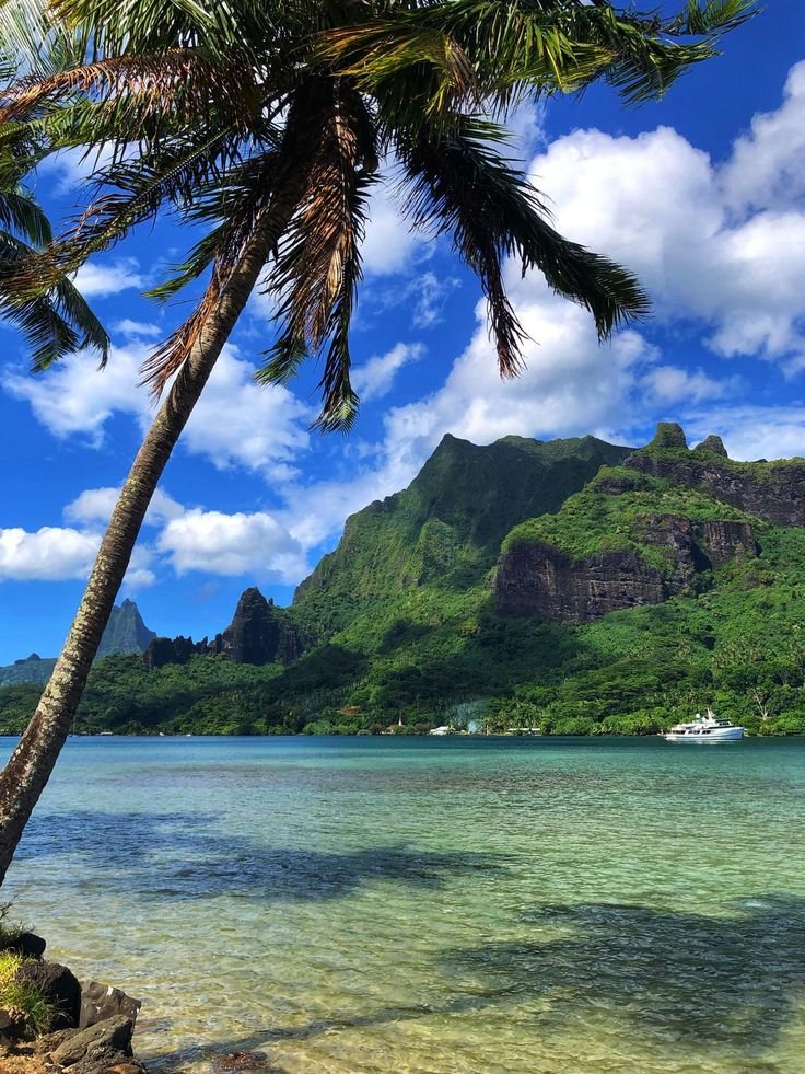 water_diaries's tweet photo. Kanapli Beach, Hawaii 🇺🇸 https://t.co/qqvsrVv2ta