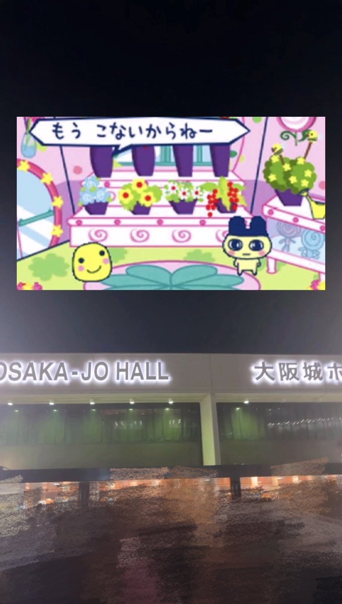 7qmIo's tweet photo. #なにわ男子_ND5 in大阪🐙🎀 https://t.co/z2JuoCjpkL