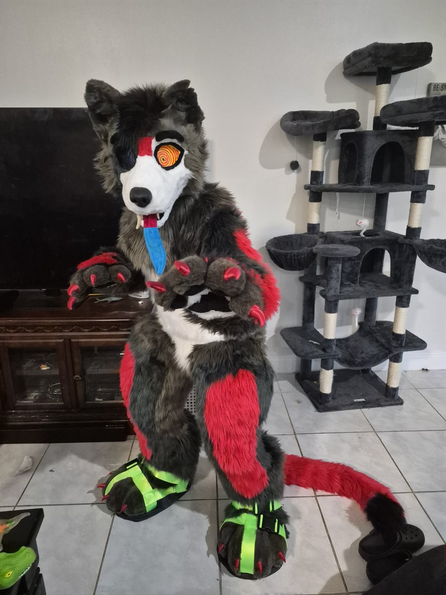 HanamiCreation's tweet photo. Completed fullsuit (was completed months ago just had to wait to post it because the customer wanted to debut it at MP first) @DiceisaFurry ...foam toes, nose, ears and head base by @DvC_Ciara claws and teeth by @witch_the_snep https://t.co/m7Mn0SgHq1