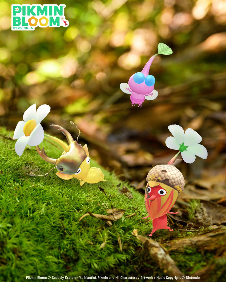PikminBloom_jp's tweet photo. レアデコピクミンの新しい仲間が登場！

9/10より、レアな「クワガタ」「どんぐり」を身につけたデコピクミンと出会えるようになります✨

詳細はアプリ内のお知らせをチェック✅ https://t.co/VlI6DcuFvK