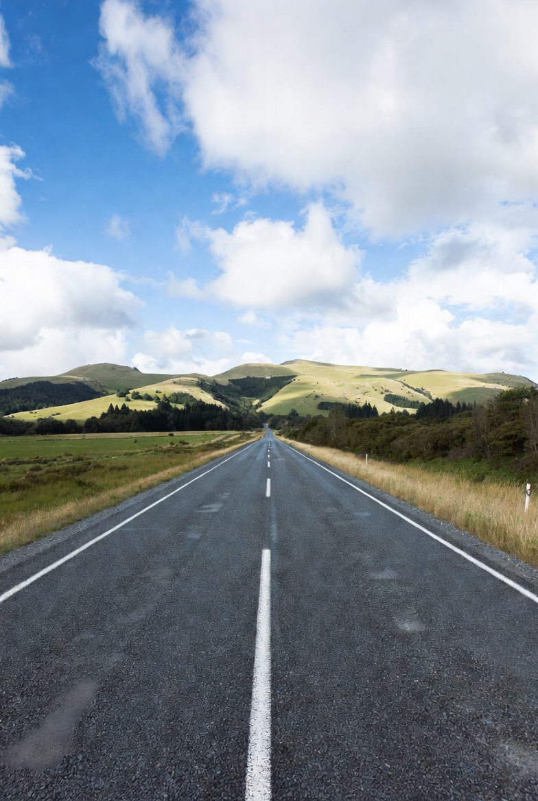 Landflightnz's tweet photo. Disembark your cruise ship into a forecourt where 500 passengers fight for the same taxis. Or: pre-book your transfer and drive away while they're still queuing. 30 minutes SOHO to terminal, zero scrum. #LandFlightNZ https://t.co/gw5lMzWnYe