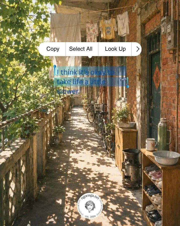 ngocngadotnet's tweet photo. 🐢🕊️🌱 #SlowDown #YourOwnPace #LifeUnhurried
I think it's okay to take life a little slower.
//
Wǒ xiǎng rénshēng shì kěyǐ màn bàn pāi de.
#1QuoteIn3Languages #ChineseQuotes #DailyChinese #Pinyin #Putonghua #ChineseQuote
Details at https://t.co/tu3qxCOwPV https://t.co/GYQ11qDkCd