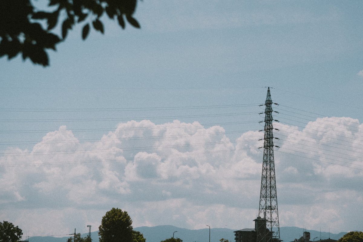 fuyumi_snap's tweet photo. その声が聞こえるたび、今日も空は青いと思う。

#ファインダー越しの私の世界
#写真好きな人と繋がりたい
#キリトリセカイ https://t.co/nmTylhkkK4