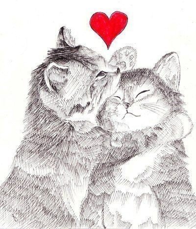 daoud890's tweet photo. @olygirl83 https://t.co/xpXKnetnq1
