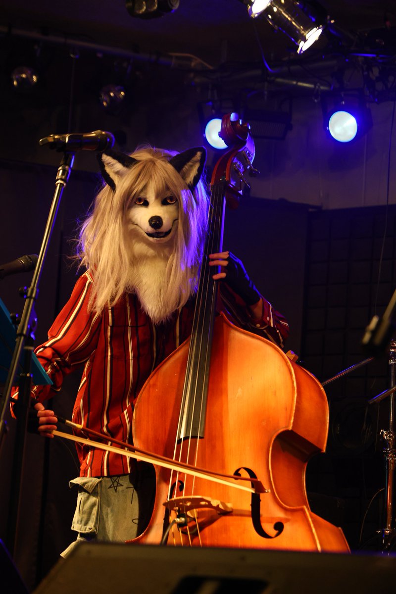 haniwa643's tweet photo. #FMD3 RFDとJJQuinkyで出演していました!🤍🦊🎸🎻✨
今回は初めてのことにチャレンジする機会が多く、良い体験になりました🥹
観客、共演者のみなさまありがとうございました🫶 https://t.co/cEmvbYx4BJ