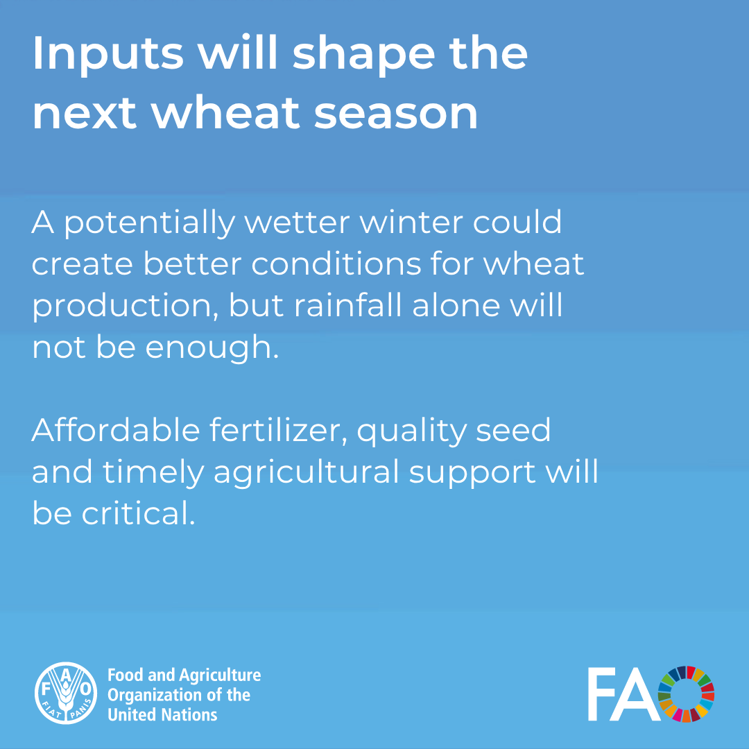 FAOAfghanistan's tweet photo. What does the latest outlook mean for Afghanistan’s farmers?

Swipe through the key implications, and the action needed to translate improved rainfall prospects into stronger agricultural production 👇

🔗 https://t.co/Npd6WWPAg4 https://t.co/73q4cDEl1l