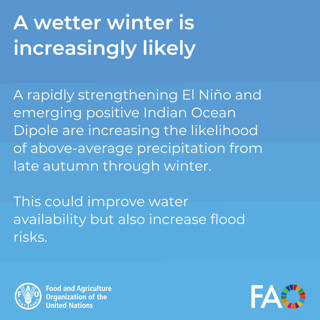 FAOAfghanistan's tweet photo. What does the latest outlook mean for Afghanistan’s farmers?

Swipe through the key implications, and the action needed to translate improved rainfall prospects into stronger agricultural production 👇

🔗 https://t.co/Npd6WWPAg4 https://t.co/73q4cDEl1l