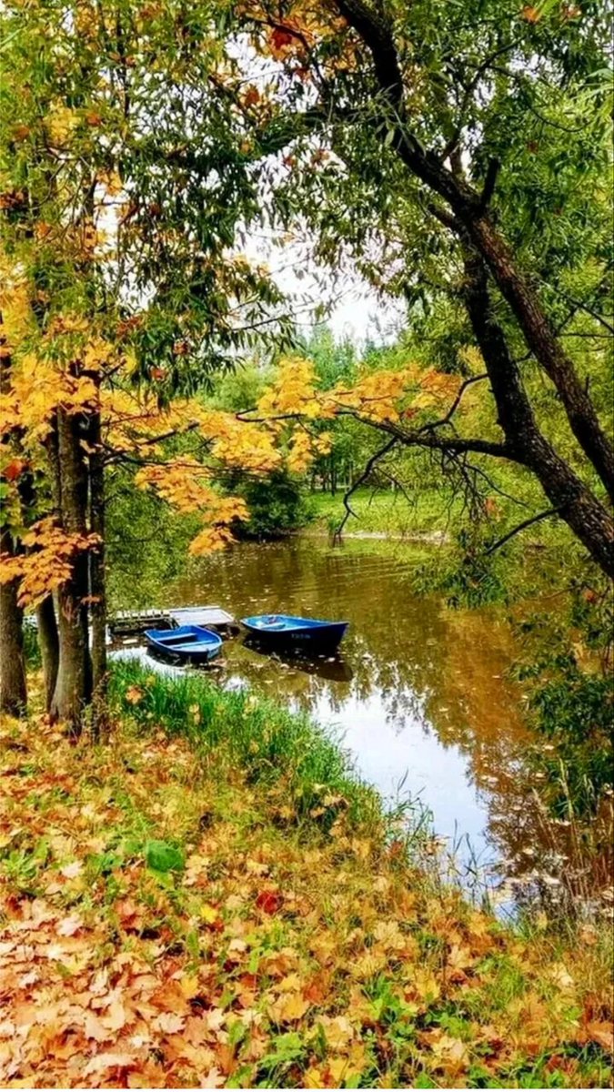 Zulai1624496's tweet photo. Günaydın.... 
Güzel bir güne, sağlıkla, huzurla, sevgiyle...... 

#Gunaydin 
#MutluSabahlar https://t.co/TcJF7lBe64
