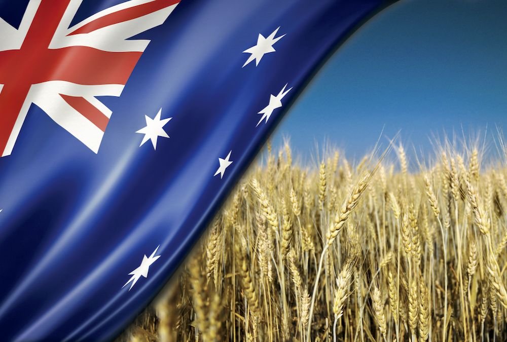 gaurav_kochar's tweet photo. 🚨 AUSTRALIA’S WHEAT MARKET IS FLASHING WARNING SIGNS

El Niño-driven drought is tightening Australia’s wheat outlook, with local wheat prices jumping 9.4% in August to $291/t.

Australia is a major wheat supplier to Asia. Lower export availability means Asian buyers may increasingly turn to Black Sea origins.

And the global wheat balance is already under pressure from weaker EU production.

Argentina’s record crop may help, but domestic demand + logistics could limit its ability to fill the gap.

🌾 Australia ↓
🌾 EU ↓
🌾 Argentina ↑ but constrained
🌾 Black Sea demand ↑
📈 Wheat price pressure building

If El Niño keeps hurting Australian production, the global wheat market could get much tighter into 2026/27.