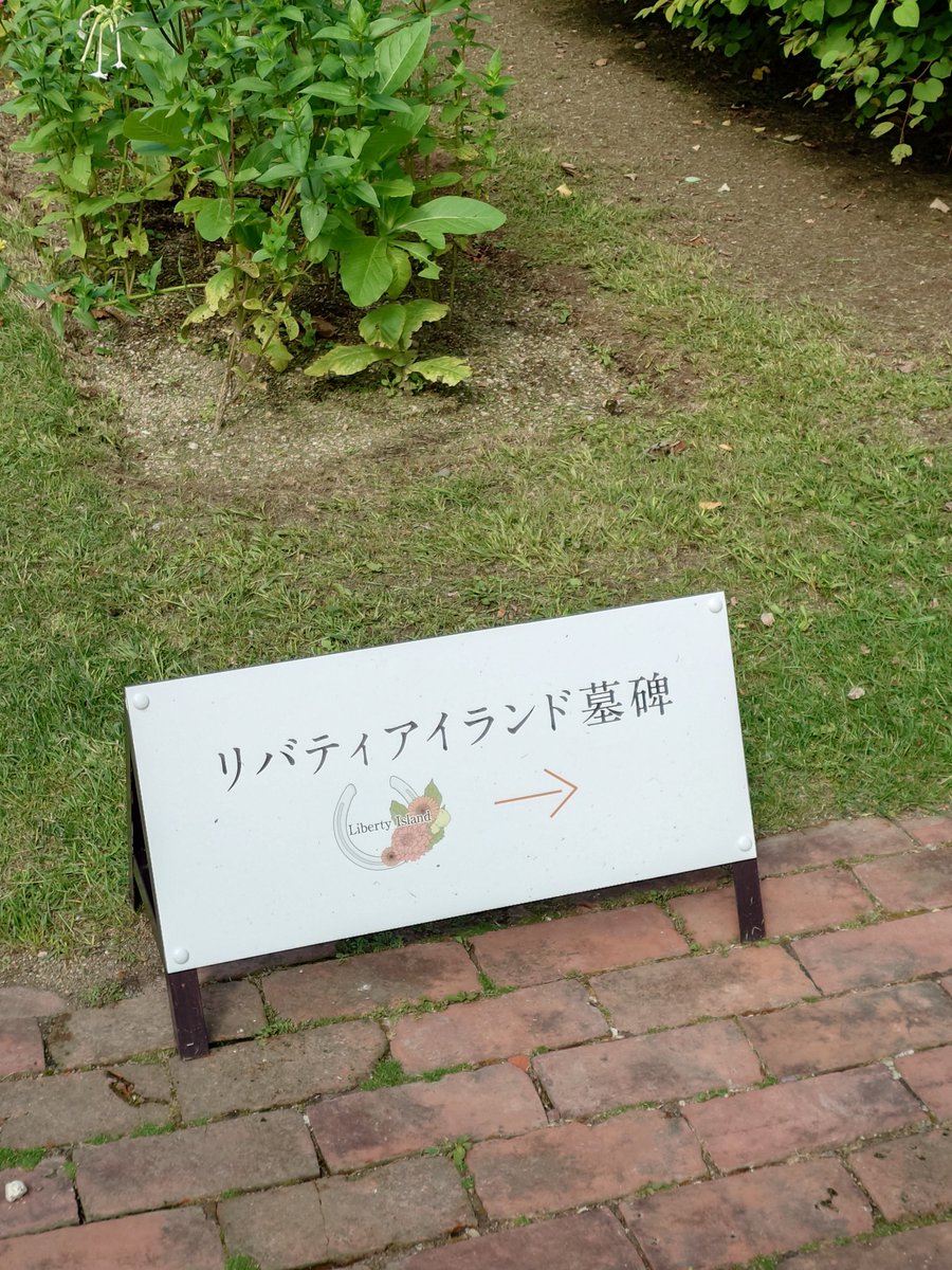0001fbcF91's tweet photo. 最後に。２頭ともまだ若いのにね。
冬場と違って綺麗な草花に囲まれてました。 https://t.co/Gks9gg6w7L