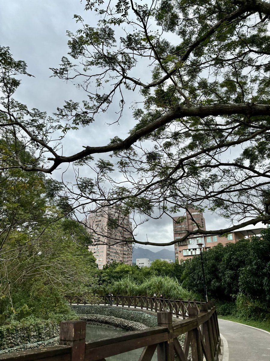 BadiChiang's tweet photo. #STEPNEMBER5

Week 2: Energy

STEPN GO 🏃～

Day 2: Task Completed ✅

Autumn🍃 is here🍁 The cool weather is perfect for outdoor jogging, breathing in fresh air, let’s go!

#Stepn
#Stepngo https://t.co/t1Ch99WItO