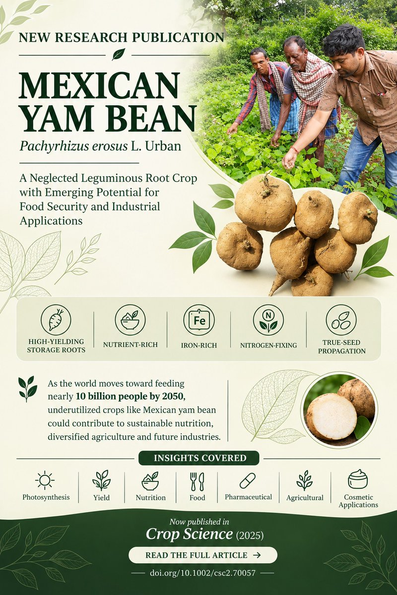 icarctcri's tweet photo. Exploring the Potential of Mexican Yam Bean!
📷 Now published in Crop Science — https://t.co/mrT7kz4Oi9
Stay tuned for more research updates every Tuesday..................
@icarindia
#MexicanYamBean #PachyrhizusErosus #CropScience #UnderutilizedCrops #FoodSecurity https://t.co/xr3lekMsdZ