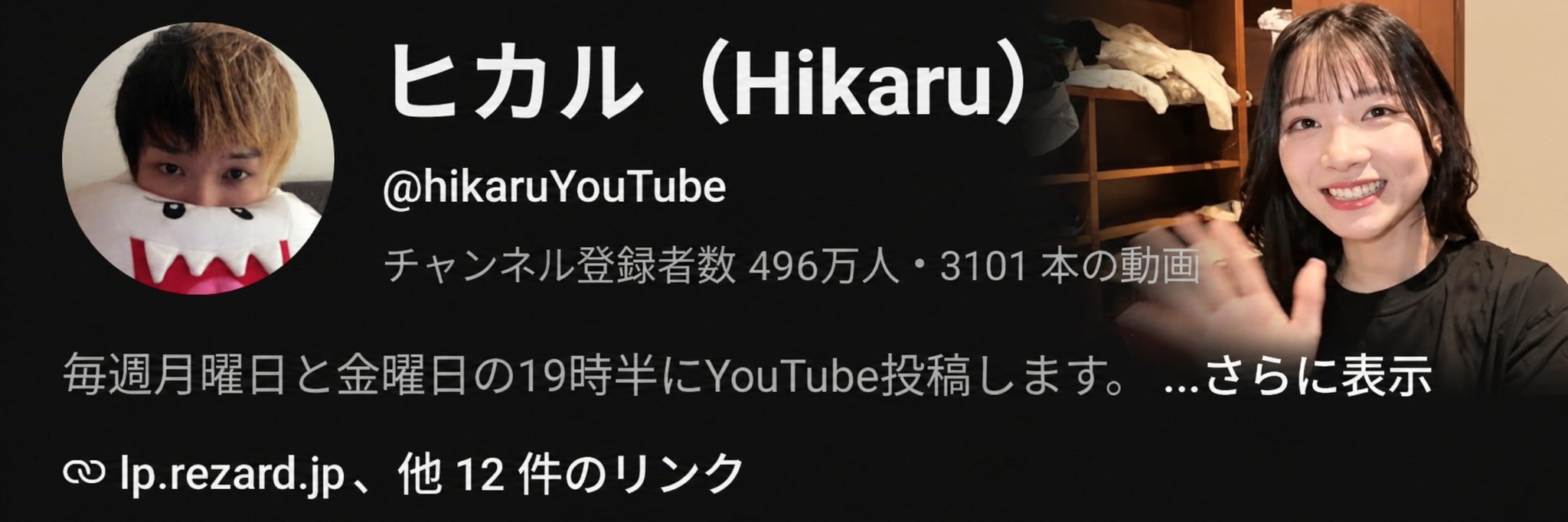 活動歴および当時の関連ビジュアル記録