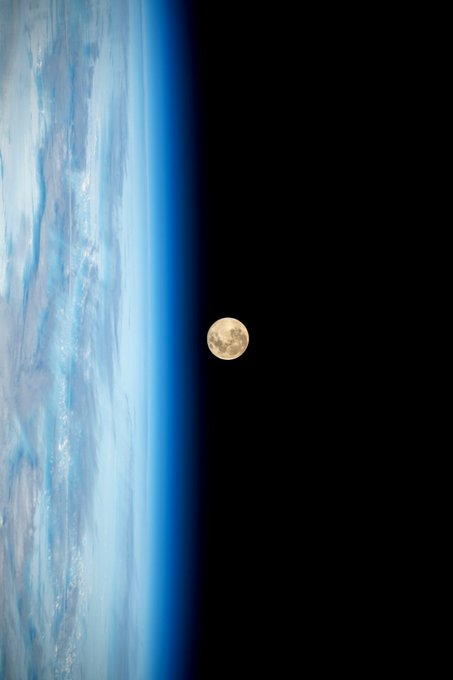astrooalert's tweet photo. Full Moon from Space😍 https://t.co/lOGWWG38lr